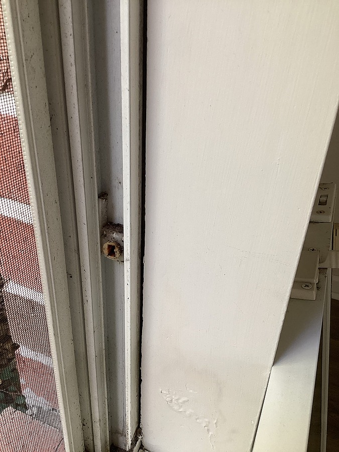 Window Spring 3